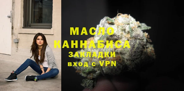 шишки Богородицк