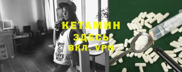 шишки Богородицк