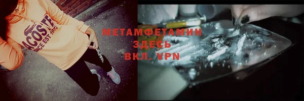 шишки Богородицк
