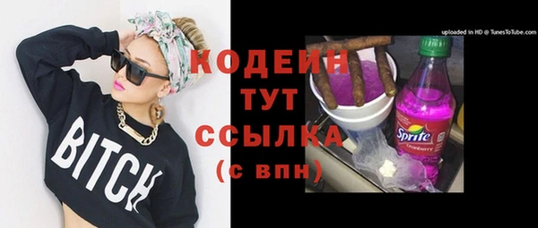 мдпв Богданович