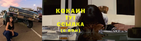 мдпв Богданович