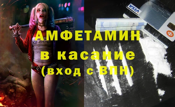 шишки Богородицк