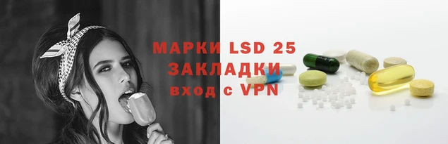 шишки Богородицк