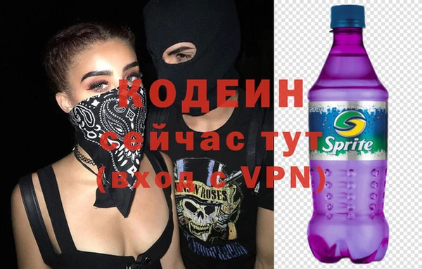 мдпв Богданович