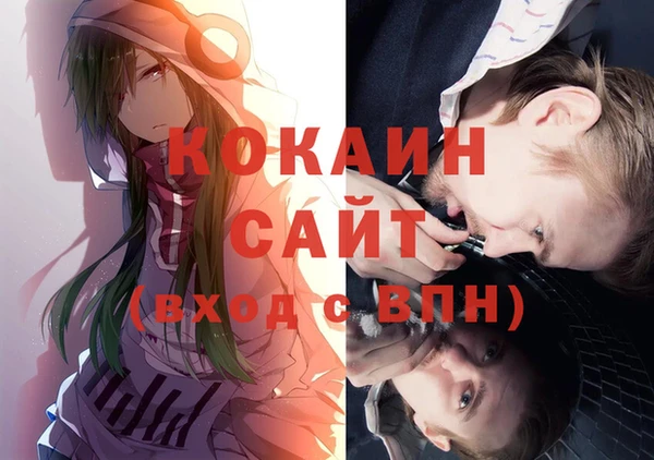 шишки Богородицк