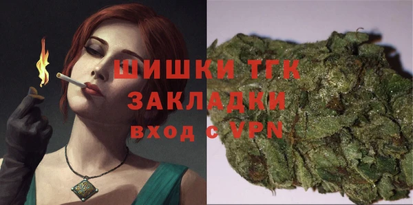 мдпв Богданович