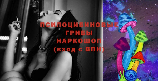 шишки Богородицк