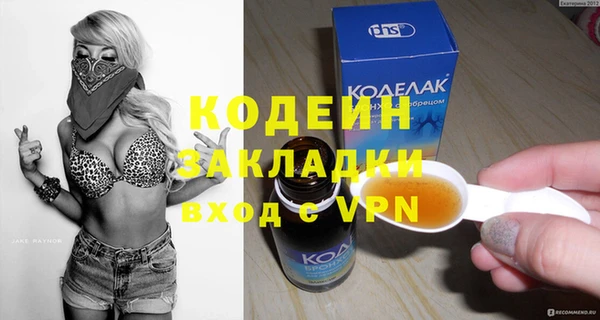 шишки Богородицк