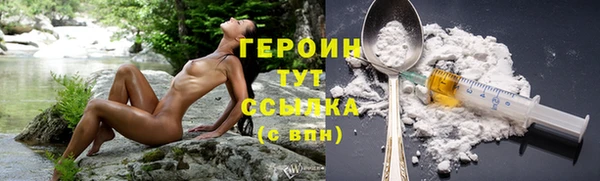 шишки Богородицк