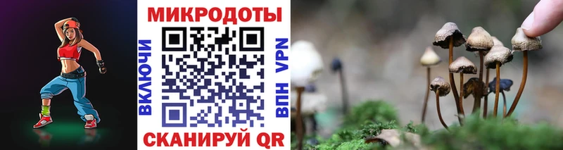 купить наркотик Северская блэк спрут ONION Псилоцибиновые грибы Psilocybine cubensis